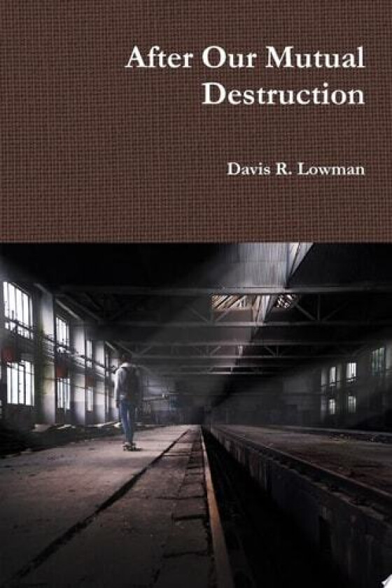 After Our Mutual Destruction av Davis Lowman (Paperback)