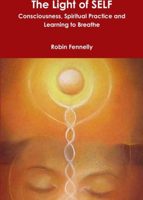 The Light of SELF av Robin Fennelly (Paperback)