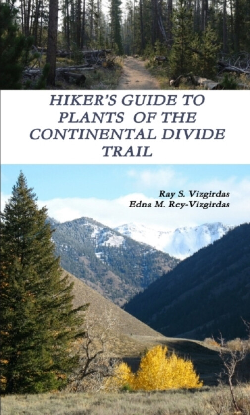 Hiker's Guide to Plants of the Continental Divide Trail av Ray S Vizgirdas, Edna M Rey-Vizgirdas (Paperback)