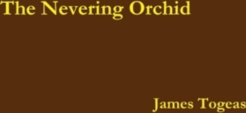 The Nevering Orchid av James Togeas (Paperback)