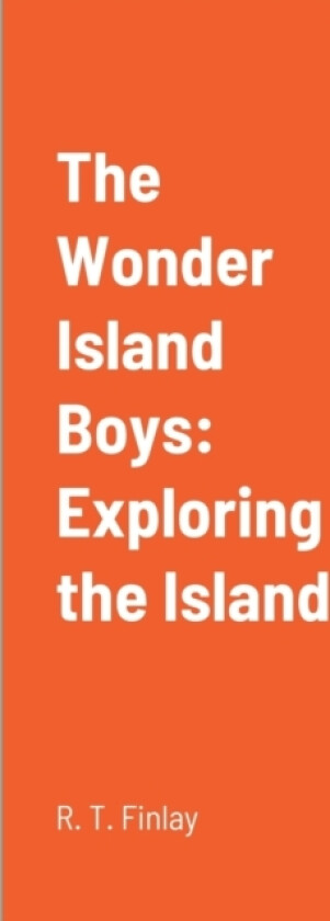 The Wonder Island Boys av R T Finlay (Paperback)