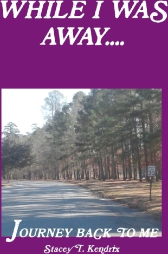 While I Was Away....Journey Back To Me av Stacey Kendrix (Paperback)
