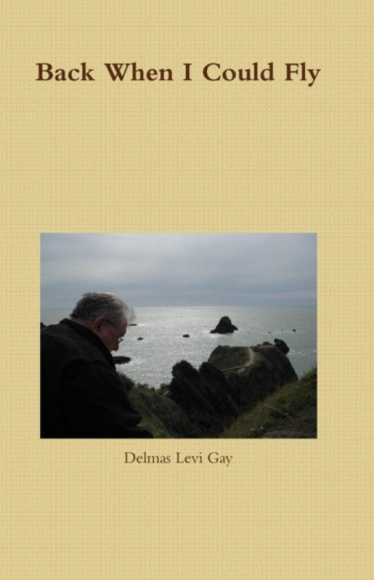 Back When I Could Fly av Delmas Gay (Hardcover)
