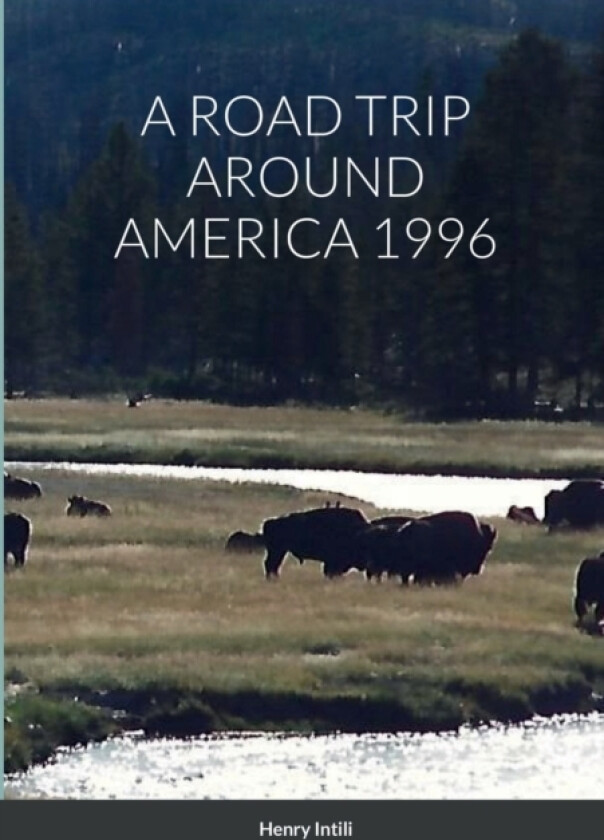 A Road Trip Around America 1996 av Henry Intili (Paperback)