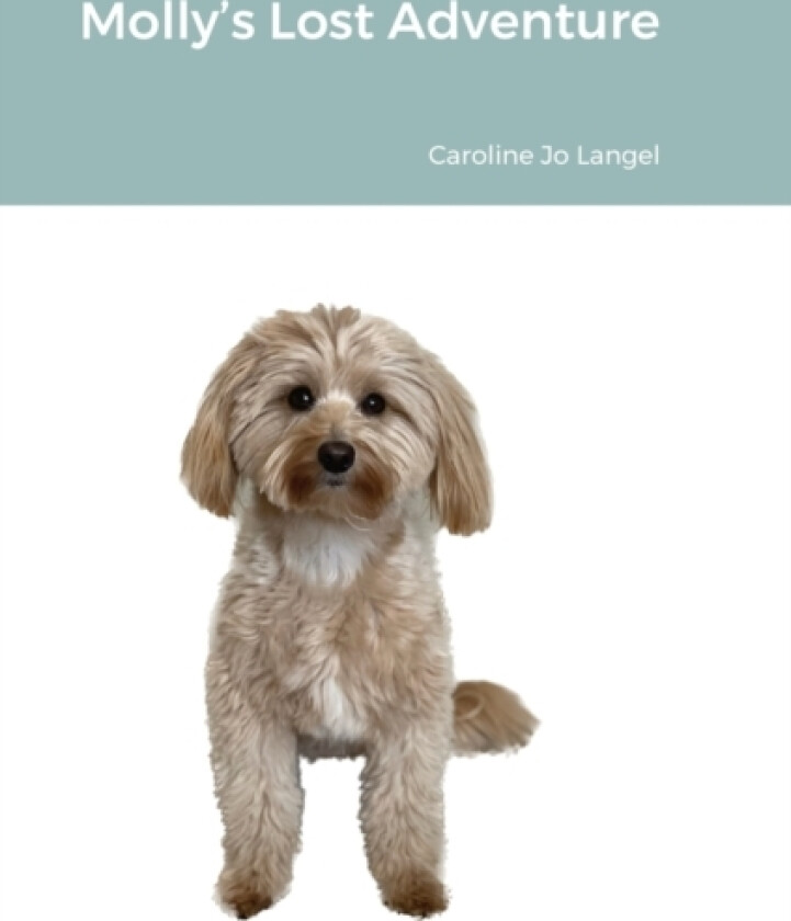 Molly's Lost Adventure av Caroline Jo Langel (Hardcover)