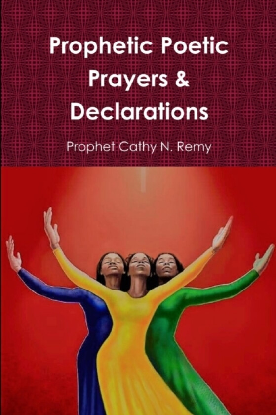 Prophetic Poetic Prayers & Declarations av Cathy N Remy (Paperback)
