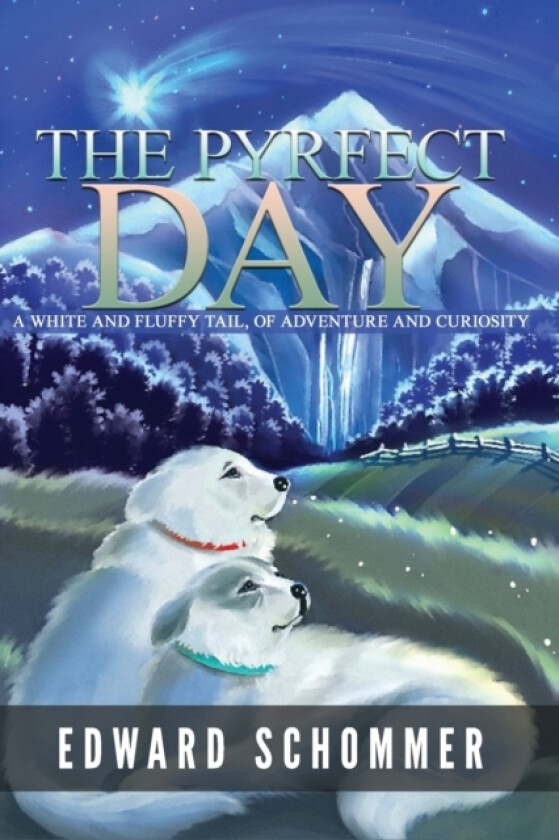 The Pyrfect Day av Edward Schommer (Paperback)