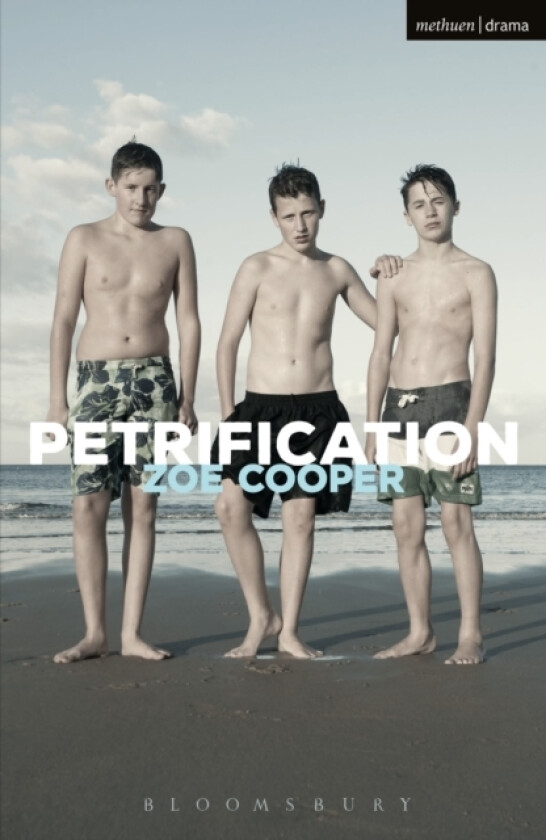 Petrification av Zoe Cooper (Paperback)