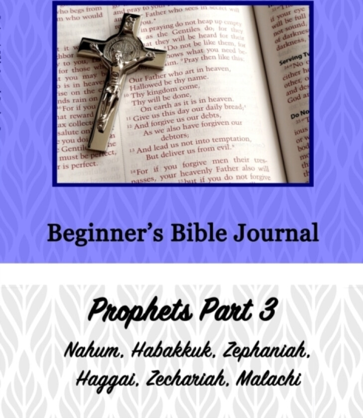 Beginner's Bible Journal av Alexandria Robinson (Paperback)