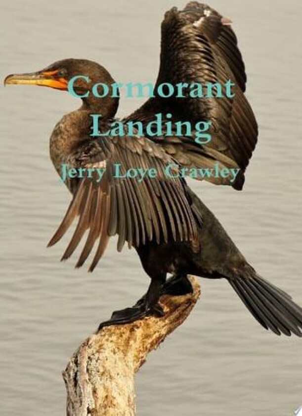 Cormorant Landing av Jerry Loye Crawley (Paperback)