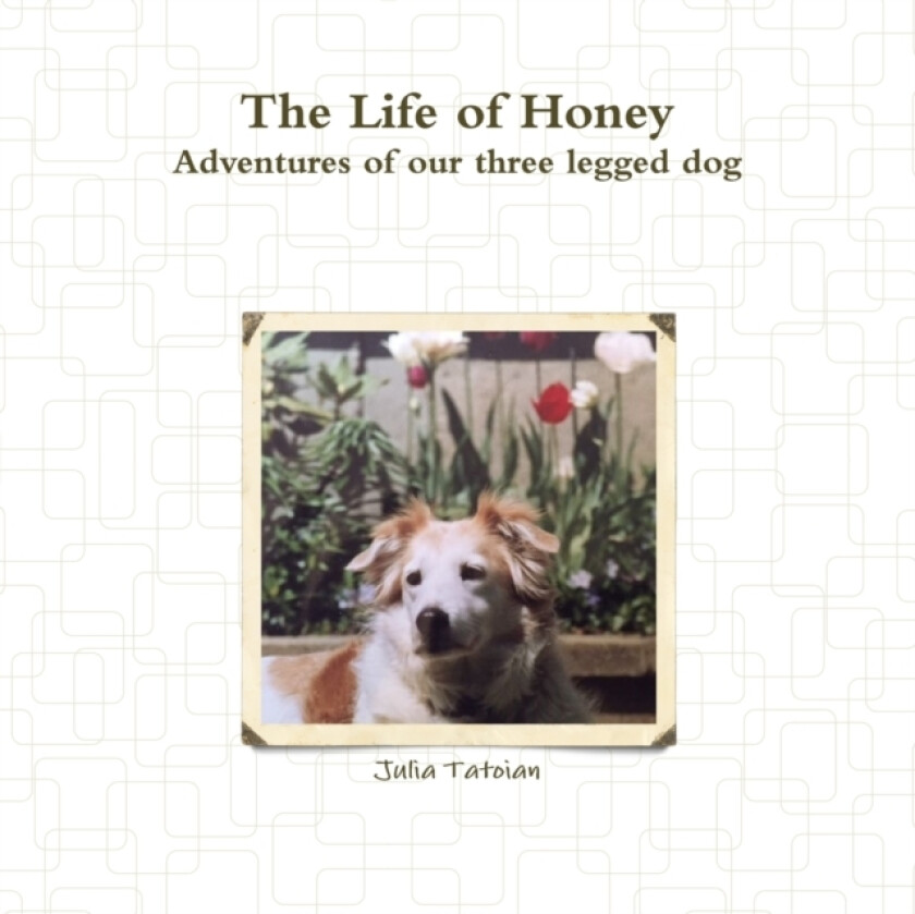 The Life of Honey av Julia Tatoian (Paperback)