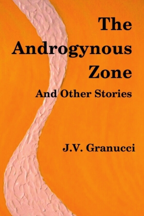 The Androgynous Zone and Other Stories av J.V. Granucci (Paperback)