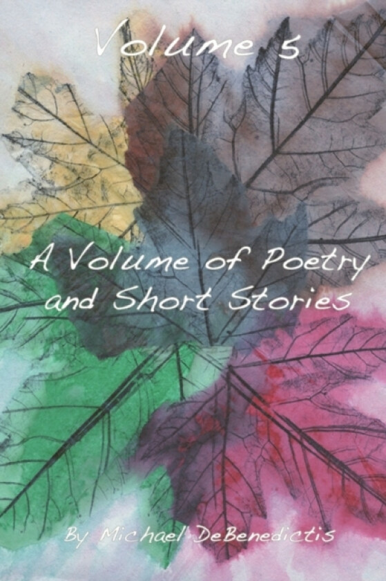 Volume 5 av Michael DeBenedictis (Paperback)