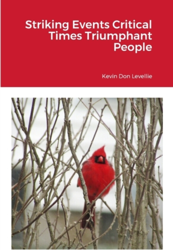 Striking Events Critical Times Triumphant People av Kevin Don Levellie (Paperback)