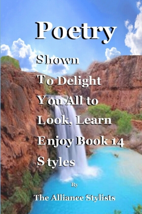 Poetry Styles Book Fourteen av Alliance Stylists (Paperback)