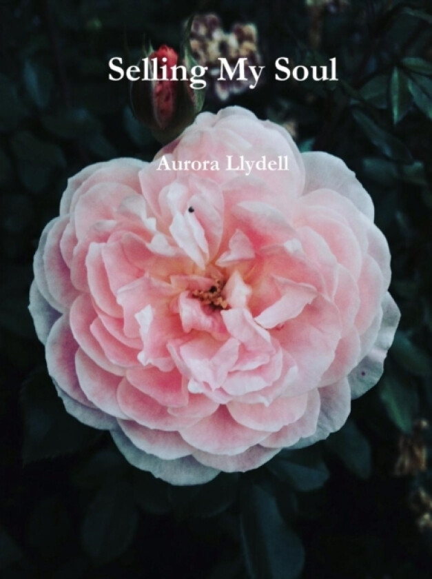 Selling My Soul av Aurora Llydell (Paperback)