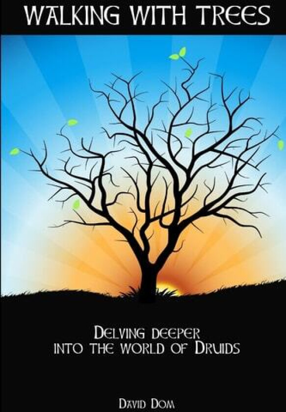Walking with Trees av David Dom (Paperback)