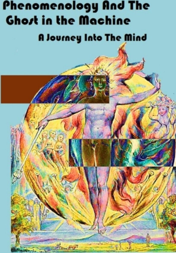Phenomenology and The Ghost in The Machine av Timb Hoswell (Paperback)