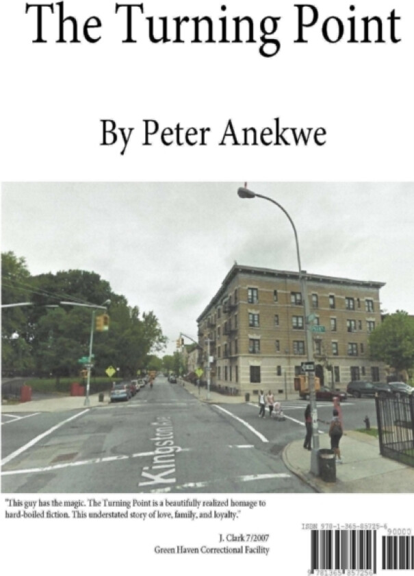 The Turning Point av Peter Anekwe (Paperback)