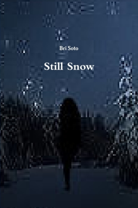 Still Snow av Bri Soto (Paperback)