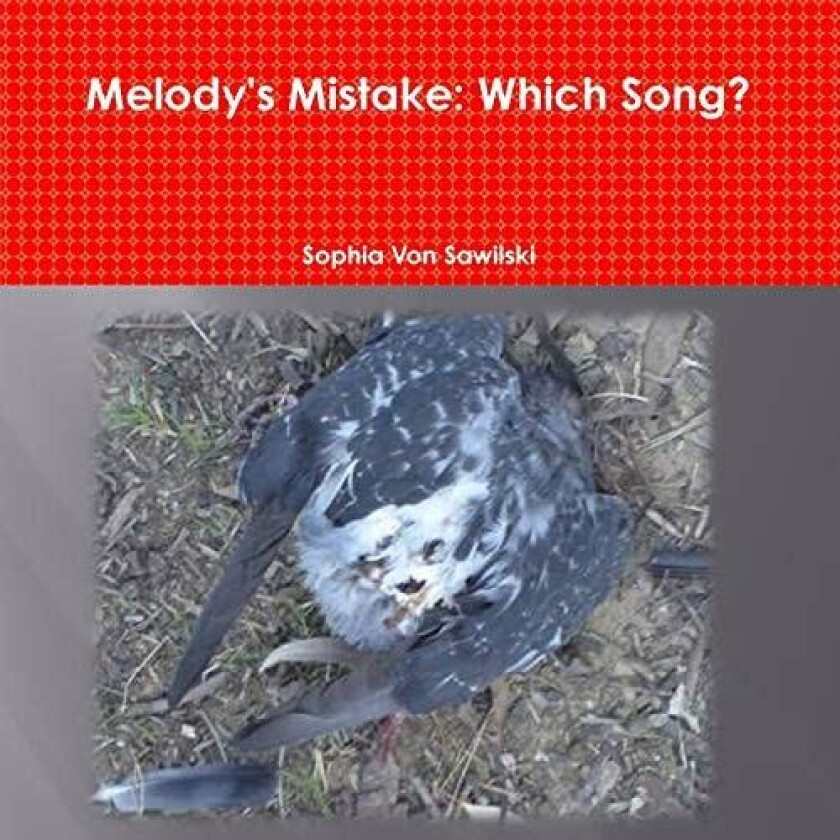 Melody's Mistake av Sophia Von Sawilski (Paperback)