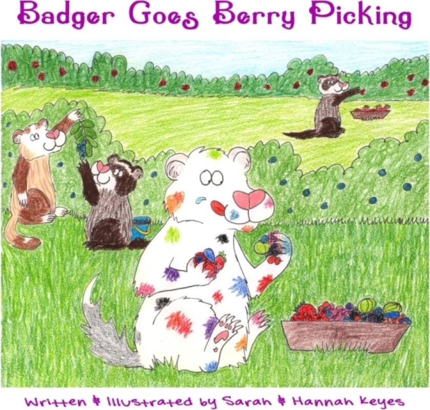Badger Goes Berry Picking av Sarah Keyes, Hannah Keyes (Paperback)