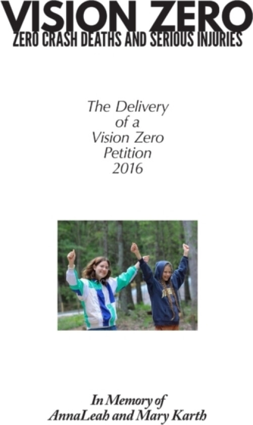 The Vision Zero Petition av Marianne Karth (Paperback)