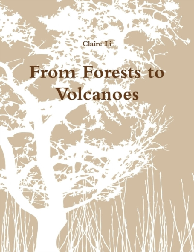 From Forests to Volcanoes av Claire Li (Paperback)