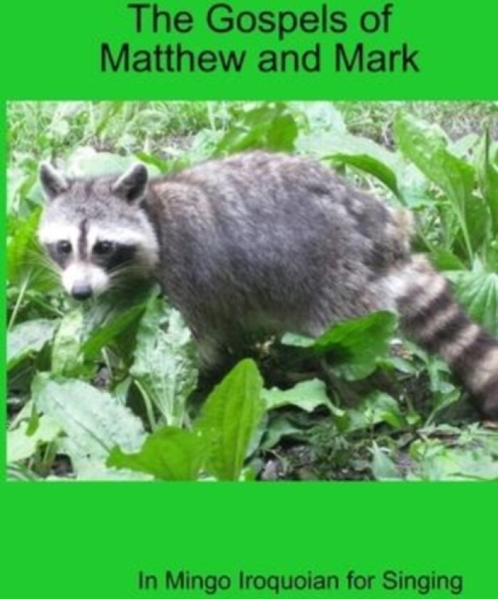 The Gospels of Matthew and Mark in Mingo Iroquoian for Singing av Thomas McElwain (Paperback)