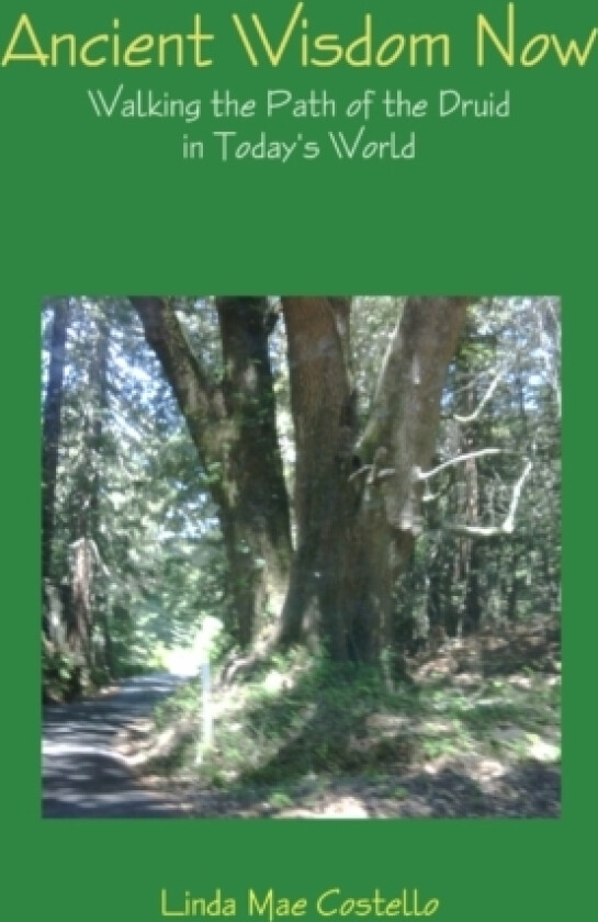 Ancient Wisdom Now av Linda Mae Costello (Paperback)