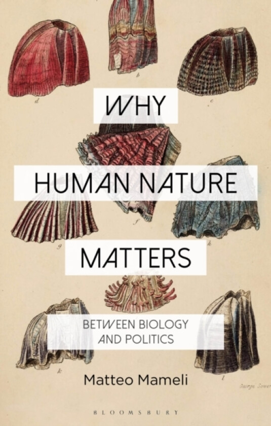 Why Human Nature Matters av Dr Matteo Mameli (Hardcover)