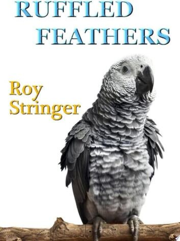 Ruffled Feathers av Roy Stringer (Paperback)