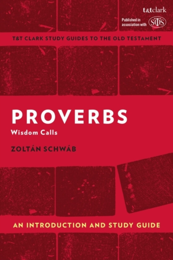Proverbs: An Introduction and Study Guide av Zoltan Schwab (Hardcover)