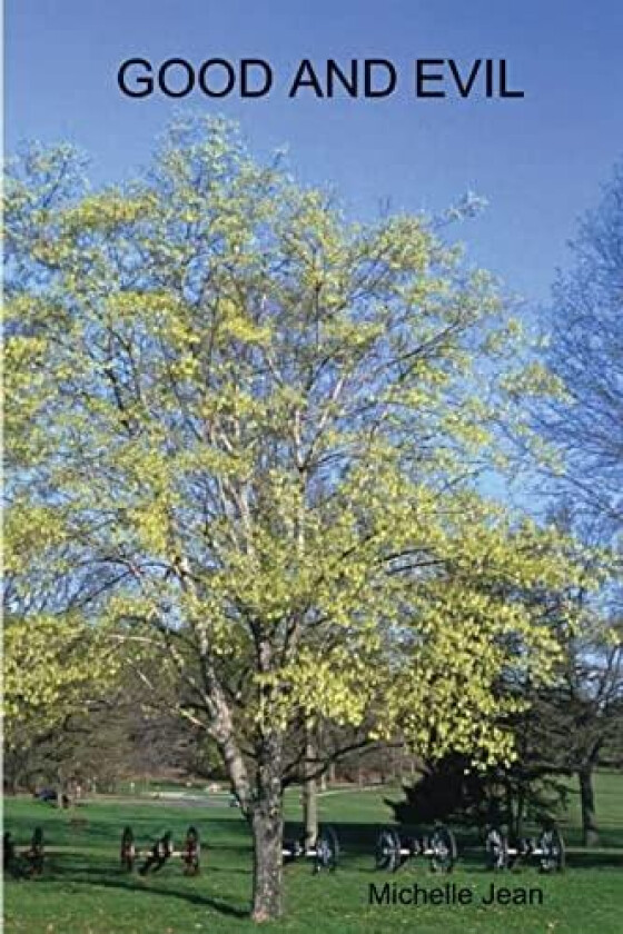 Good and Evil av Michelle Jean (Paperback)