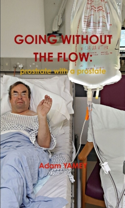Going Without the Flow: Prostrate with a Prostate av Adam YAMEY (Paperback)