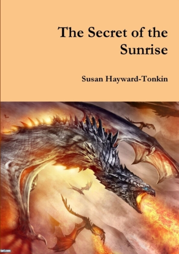 The Secret of the Sunrise av Susan Hayward-Tonkin (Paperback)