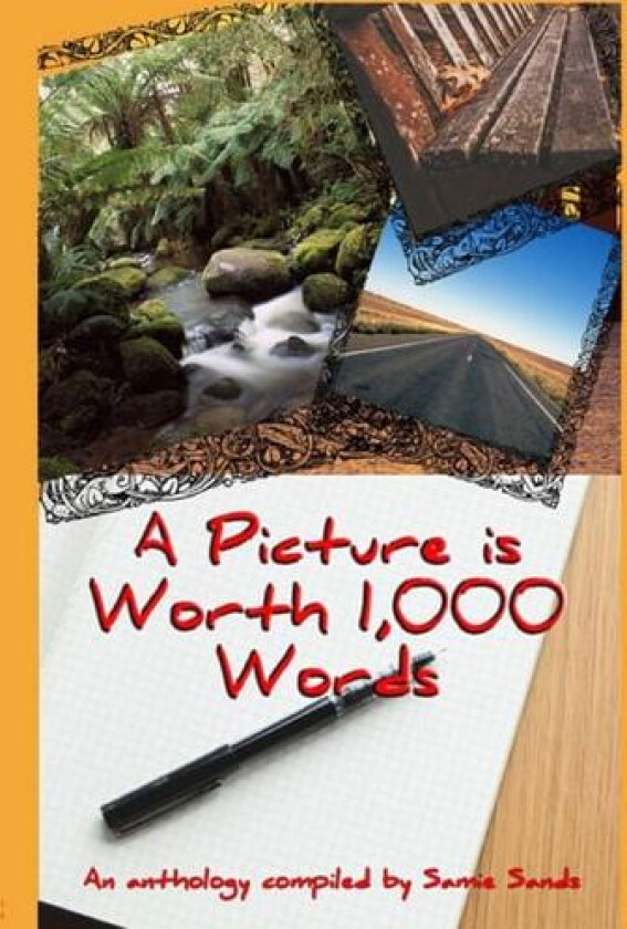 A Picture is Worth 1,000 Words av Samie Sands (Paperback)