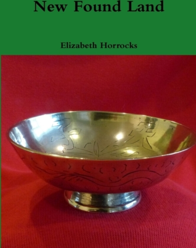 New Found Land av Elizabeth Horrocks (Paperback)