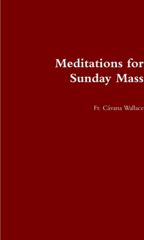 Meditations for Sunday Mass av Fr Cavana Wallace (Paperback)