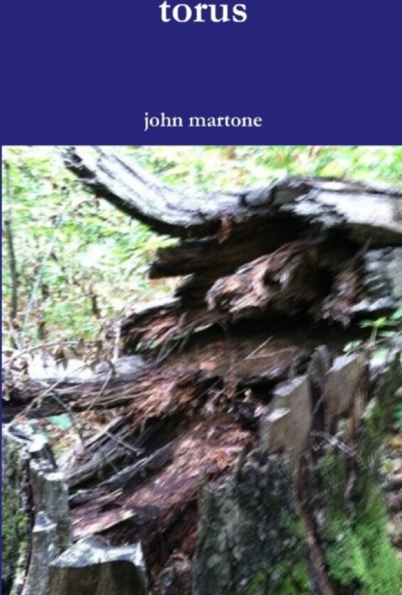 torus av John Martone (Paperback)