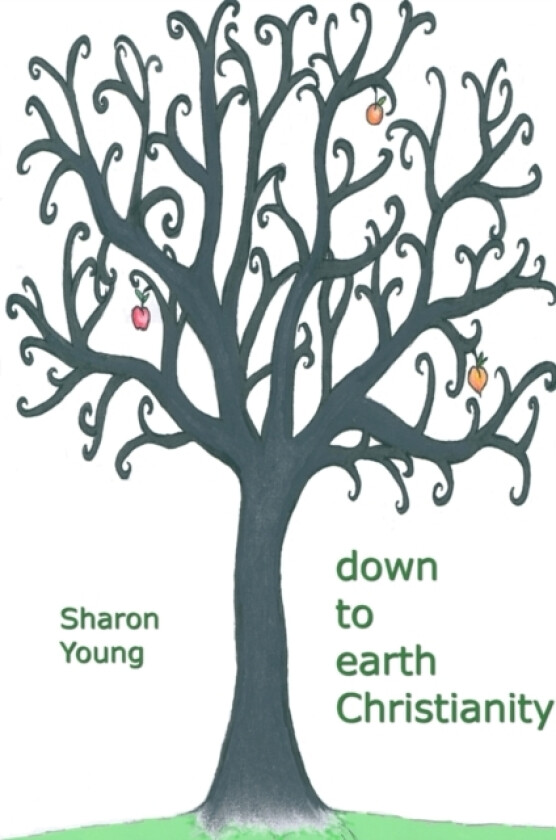 Down to Earth Christianity av Sharon Young (Paperback)