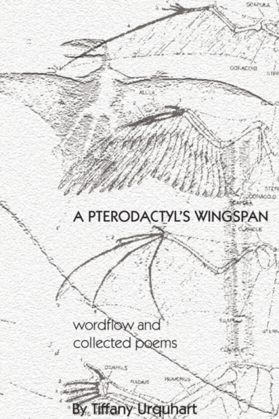 A Pterodactyl's Wingspan av Tiffany Urquhart (Paperback)