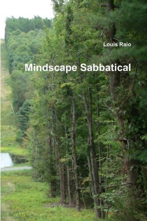 Mindscape Sabbatical av Louis Raio (Paperback)
