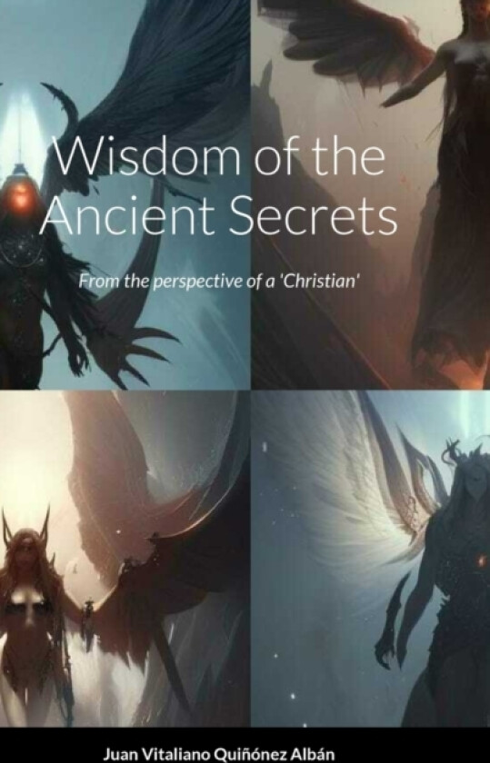 Wisdom of the Ancient Secrets av Juan Vitaliano Quinonez Alban (Hardcover)