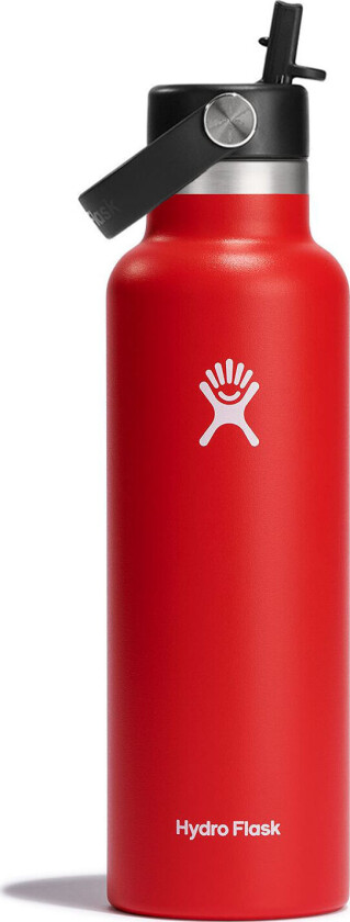 Standard Flex Straw 621 ml Goji 621 ml, Goji