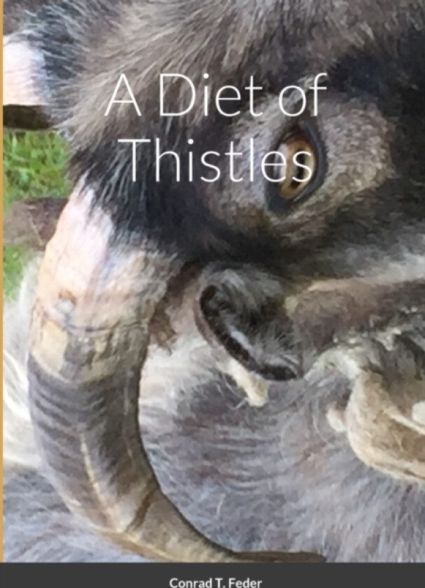 A Diet of Thistles av Conrad T. Feder (Paperback)