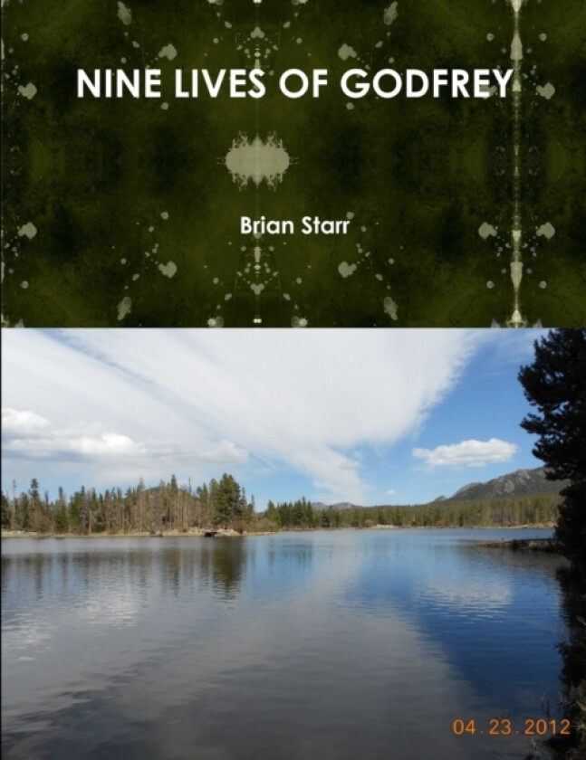 Nine Lives of Godfrey av Brian Starr (Paperback)