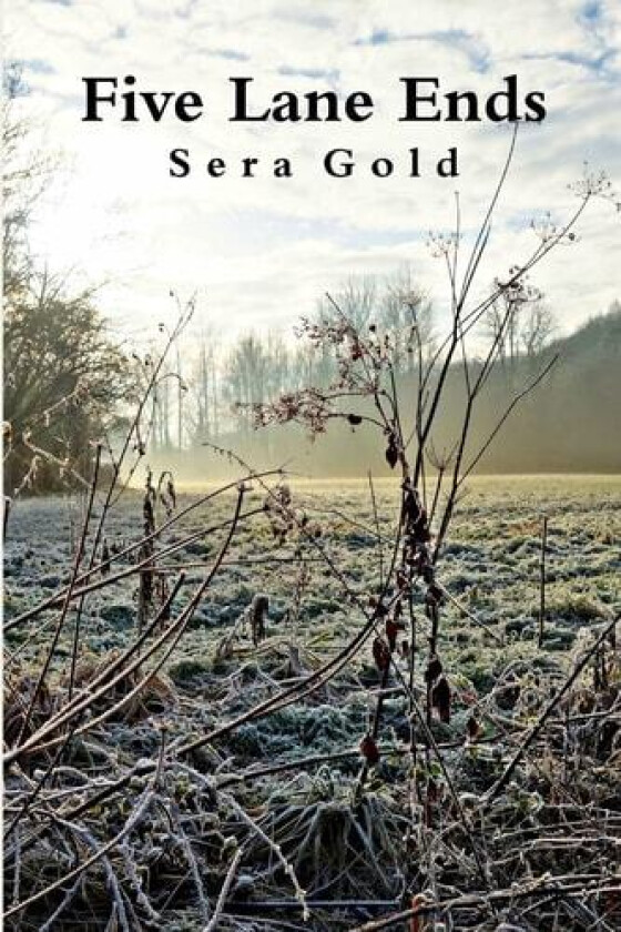 Five Lane Ends av Sera Gold (Paperback)