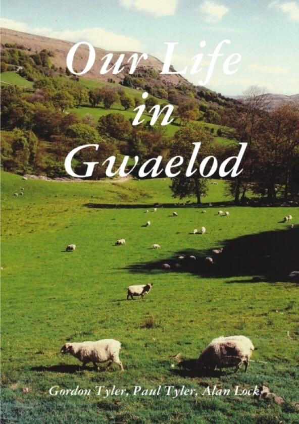 Our Life in Gwaelod av Gordon Tyler Paul Tyler Alan Lock Procter (Paperback)