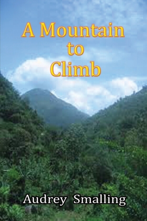 A Mountain to Climb av Audrey Smalling (Paperback)